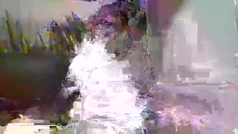 Naaktloper online show from 02.09.26