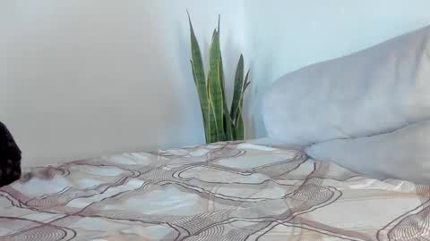 -  A N D E R online show from 01.11.26