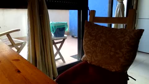 Fabro online show from 03.13.26