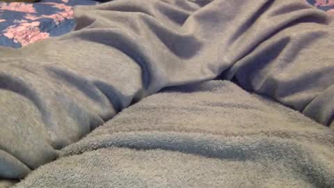 facedownassup219267 online show from 01.25.25