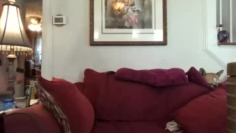 fairmount31 online show from 10.21.25