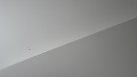 fairyboycvm online show from 03.04.26