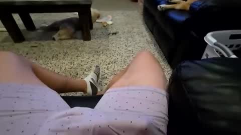 Snapshot of faker1414 chatting on 02.02.26 faker1414 online show from 02.02.26