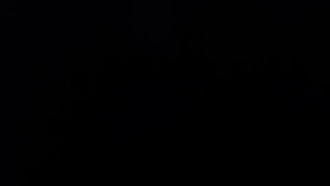 FallGays online show from 12.10.24