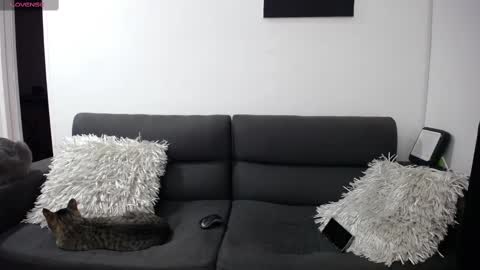 FallGays online show from 02.22.25