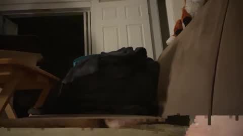 Snapshot of fangofox chatting on 10.03.25 Fango online show from 10.03.25