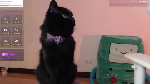 Snapshot of fantasma_gei chatting on 10.25.25 Fantasma. online show from 10.25.25