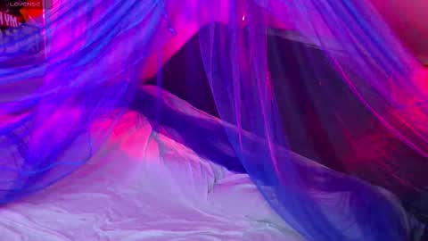 Snapshot of fantastic_fairy chatting on 11.14.25 Fairy online show from 11.14.25