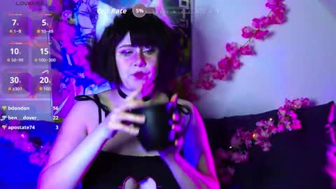 Snapshot of fantastic_fairy chatting on 12.04.25 Fairy online show from 12.04.25