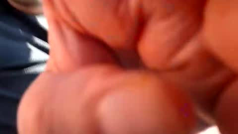 fatso21 online show from 03.04.25