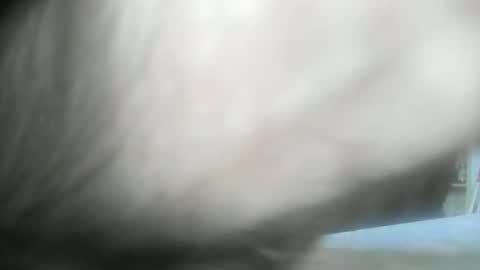 Snapshot of feardubh chatting on 01.10.25 feardubh online show from 01.10.25