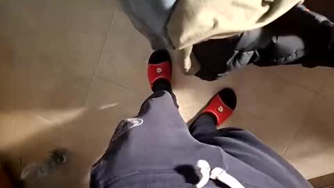 Fede online show from 12.24.24