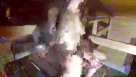 feet__sucker online show from 09.22.25