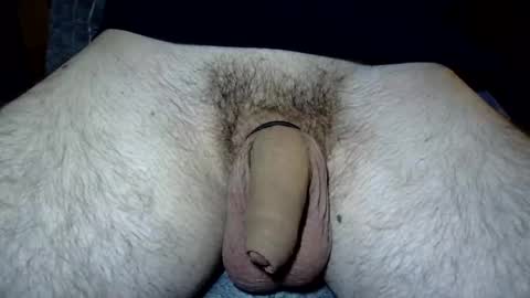 fekadam online show from 04.19.26