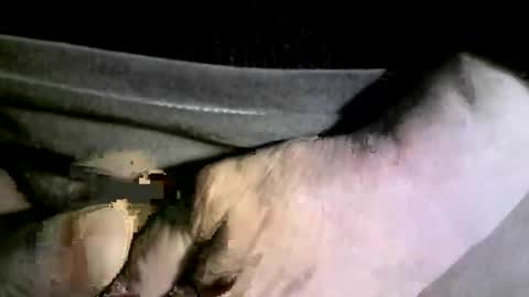 felicaste online show from 02.17.25