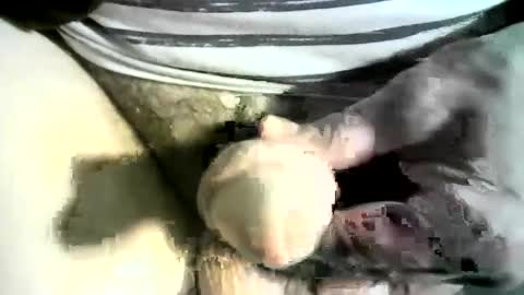 felicaste online show from 03.08.25