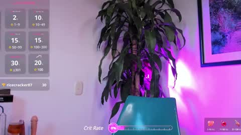 Snapshot of felixsantox chatting on 02.19.25 FelixSantos online show from 02.19.25