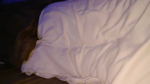 Snapshot of felixxxxmore chatting on 01.25.25 Felixxx More online show from 01.25.25