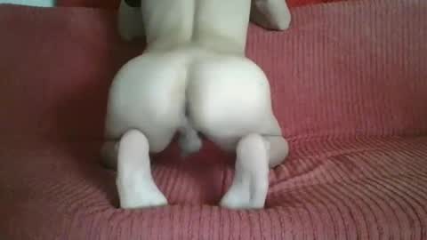 femboyhot28 online show from 11.09.25