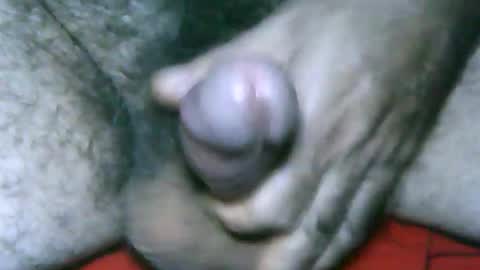 fer_2197 online show from 01.02.25