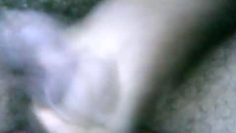 fer_2197 online show from 02.18.25