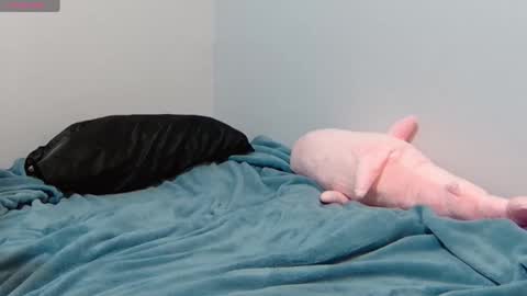 Snapshot of feralasf chatting on 01.12.25 FE fee online show from 01.12.25