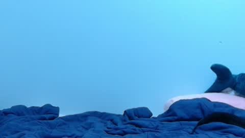 Snapshot of feralasf chatting on 02.28.25 FE fee online show from 02.28.25