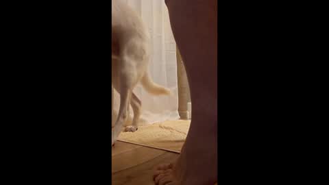 fetishdad863 online show from 04.17.26