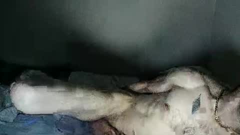 fetishsearch1abdl online show from 02.27.25