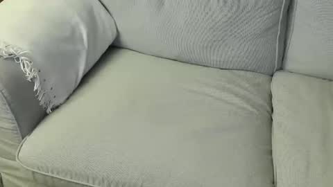 Fid online show from 03.12.26