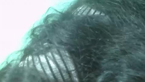 fifaalydia online show from 11.22.25