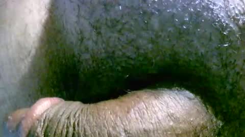 filedbc2024 online show from 03.09.25