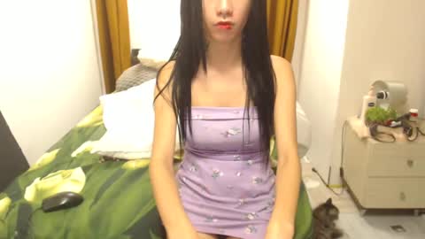 stephanie online show from 03.06.25