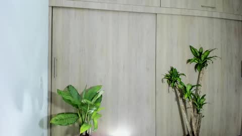 filletatouee online show from 11.10.25