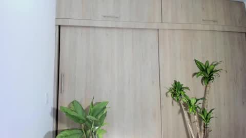 filletatouee online show from 11.14.25