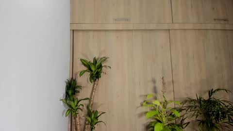 filletatouee online show from 11.16.25