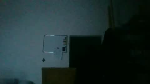 Snapshot of fine_nice chatting on 12.22.25 fine_nice online show from 12.22.25