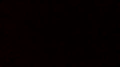 fishing41 online show from 01.08.25