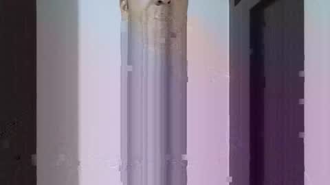 fitchestabs_69 online show from 04.14.26