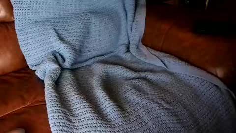 fitstevie1 online show from 01.16.25