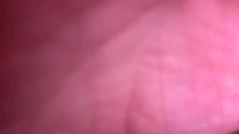 fittallhungdilf online show from 12.20.24