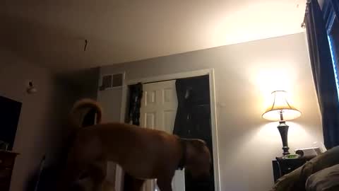 Nate online show from 02.28.25