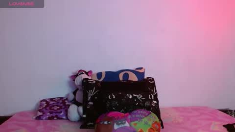 Snapshot of flacapaisa chatting on 12.02.25 nova online show from 12.02.25