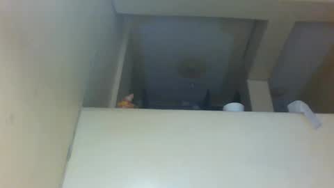 Amber online show from 11.29.25