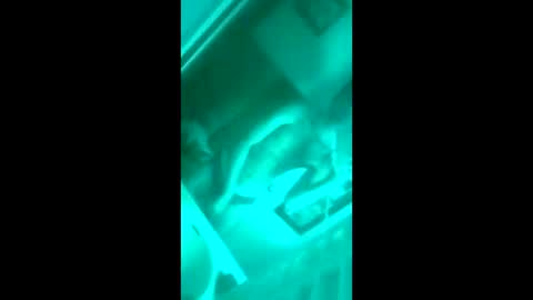 floridaloverboy88 online show from 09.29.25