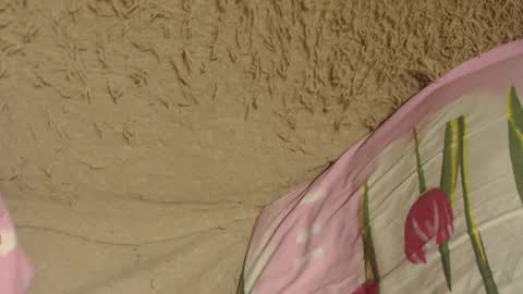 say meow and send tip  online show from 12.09.24