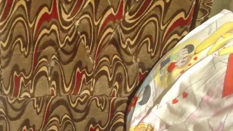 say meow and send tip  online show from 02.24.25