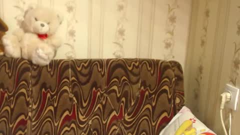 say meow and send tip  online show from 02.27.25