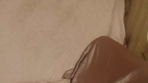 say meow and send tip  online show from 11.18.25