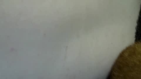 flufferbutt2 online show from 04.04.26